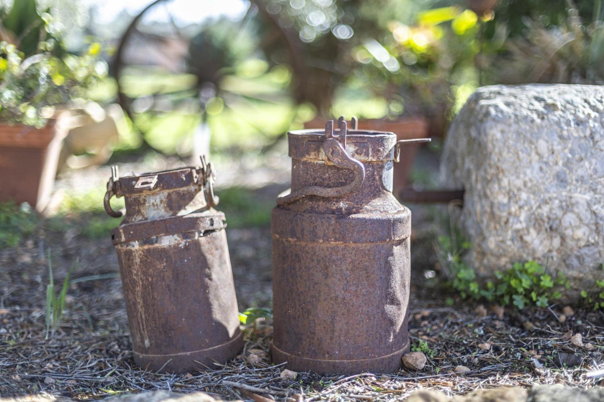 Finca Som Llum Palma di Maiorca Esterno foto